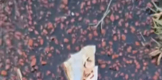 CAF Champions League / ASC Kara 1 – RSB Berkane 1/ LES MAROCAINS ACCUSENT LES TOGOLAIS DE PRATIQUES FETICHISTES