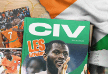 DU DÉSERT À LA TERRE PROMISE : LES ÉLÉPHANTS RETROUVENT LE CHEMIN DU MONDIAL !