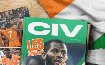 DU DÉSERT À LA TERRE PROMISE : LES ÉLÉPHANTS RETROUVENT LE CHEMIN DU MONDIAL !