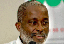 Interview / Deigna Jean Michel, président Africa Futur, « Depuis quatre ans, le président actuel a concentré le pouvoir entre ses mains »