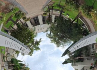 Leadership, inclusion et autonomisation : immersion au cœur du Congrès africain des athlètes et du Sommet de la jeunesse de Special Olympics à Johannesburg