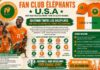 FAN CLUB ÉLÉPHANTS USA : LA DIASPORA IVOIRIENNE LANCE LA « MARÉE ORANGE » AUX ÉTATS-UNIS AVANT LE MONDIAL 2026
