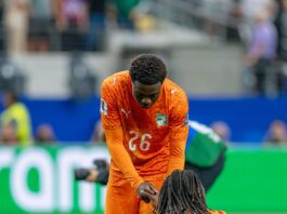🐘 MONDIAL 2026 : POURQUOI L’ÉLIMINATION DES ÉLÉPHANTS FAIT TANT MAL