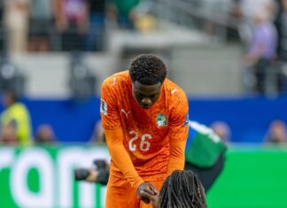 🐘 MONDIAL 2026 : POURQUOI L’ÉLIMINATION DES ÉLÉPHANTS FAIT TANT MAL